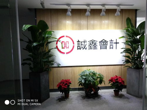 專業(yè)伙伴本土力量 湖南誠鑫會計服務集團與賀州企業(yè)服務的深度實踐